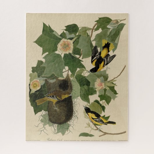 Puzzle Baltimore Oriole - d'Audubon's Birds of America (Vertical)