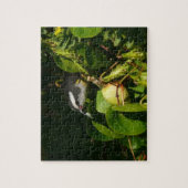 Puzzle Bananaquit Bird Mange Photographie tropicale (Vertical)