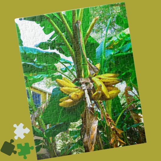 Puzzle Banane tropicale Palm Tree St Augustine Floride