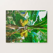 Puzzle Banane tropicale Palm Tree St Augustine Floride (Horizontal)
