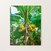 Puzzle Banane tropicale Palm Tree St Augustine Floride (Vertical)