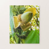 Puzzle Bananier aux fruits de banane (Vertical)