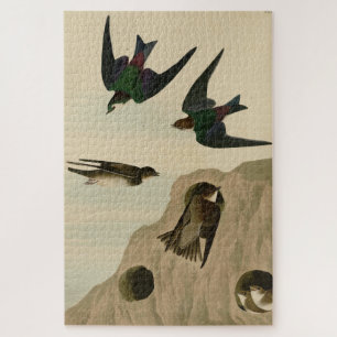 Puzzle Banque, hirondelles vert violet, Audubon Birds Amé