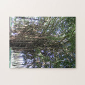 Puzzle Banyan Tree, Hilo Hawaii (Horizontal)