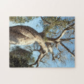 Puzzle Baobab tordu, Madagascar (Horizontal)