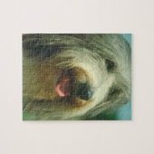 Puzzle barbu de chien de colley (Horizontal)