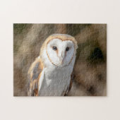 Puzzle Barn Owl (Horizontal)