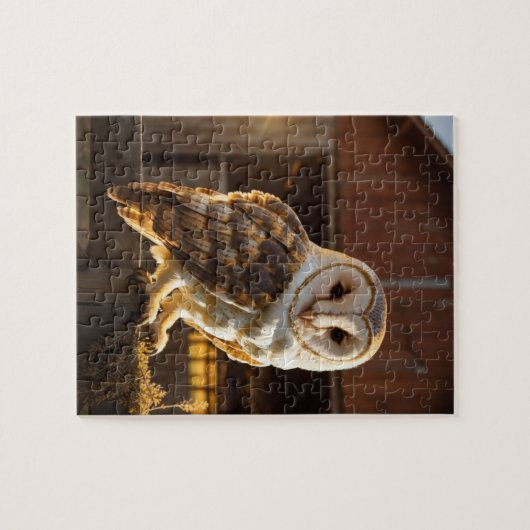 Puzzle Barn Owl (Horizontal)