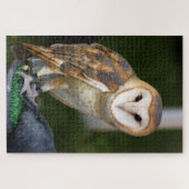 Puzzle Barn Owl (Horizontal)