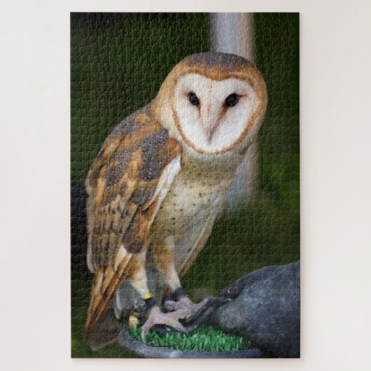 Puzzle Barn Owl (Vertical)