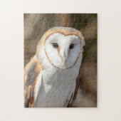Puzzle Barn Owl (Vertical)