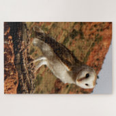 Puzzle Barn owl, Outback Australie (Horizontal)