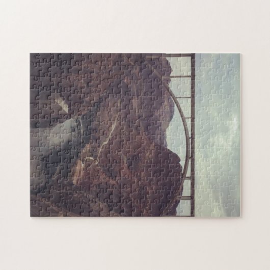 Puzzle Barrage de Hoover (Horizontal)