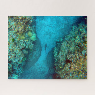 Puzzle BARRAGE DE RÉCIF PACIFIQUE 16 x 20 POUCES
