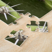 Puzzle Barrel Cactus II Désert Nature Photo (Côté)