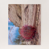 Puzzle Barrel Cactus, Valley Fire State Park, Nevada (Vertical)