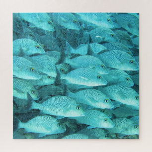 Puzzle Barrière de corail de poisson tropical, vie marine