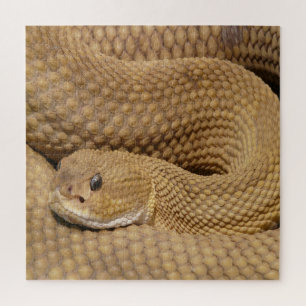 Puzzle Basilisk Viper Rattlesnake