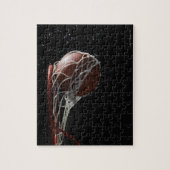 Puzzle Basket-ball passant par le cercle 2 (Vertical)