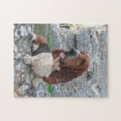 Puzzle Basset Hound Visiting Castle Legpuzzel (Horizontaal)