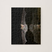 Puzzle Bateaux à boire en vol, Arizona (Vertical)