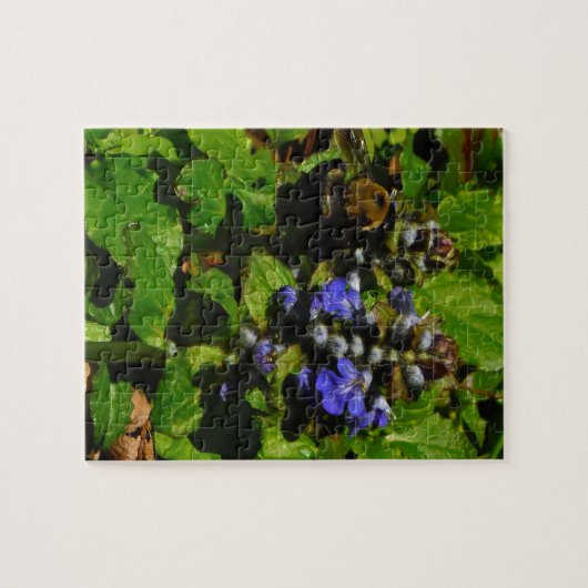 Puzzle Baume d'abeille pourpre et bourdon (Horizontal)