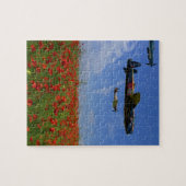 Puzzle BBMF et pavots (Horizontal)