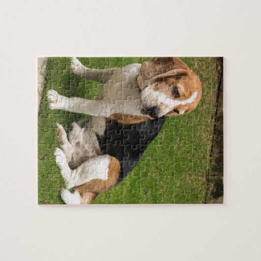 Puzzle Beagle (Horizontal)