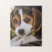 Puzzle Beagle Chien Chien Chien Chien Chien Chien Chien C (Vertical)