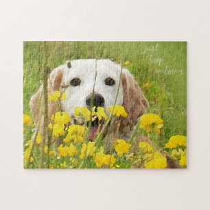 Puzzle beagle dans les fleurs juste continuer à sniffer l