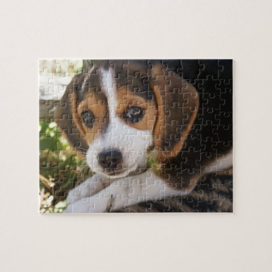 Puzzle Beagle de chiot (Horizontal)