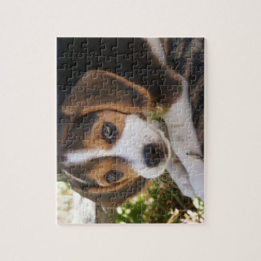 Puzzle Beagle de chiot (Vertical)