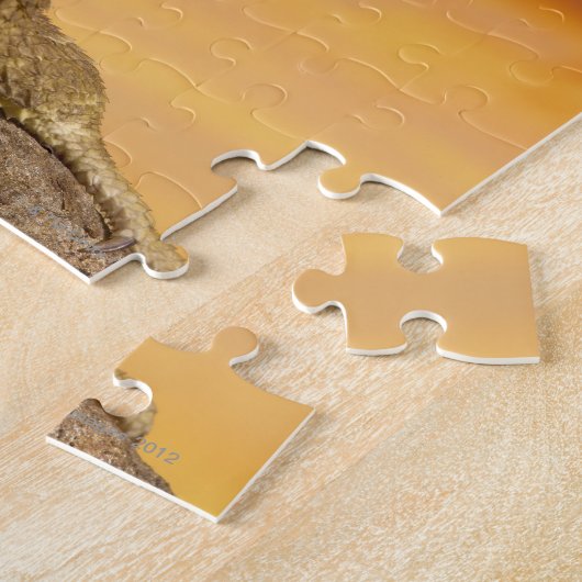 Puzzle Bearded dragon (Pogona Vitticeps) on rock (Côté)