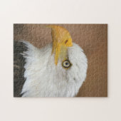 Puzzle Beau aigle à tête blanche (Horizontal)