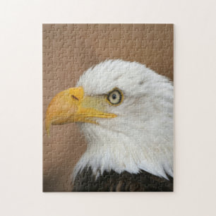 Puzzle Beau aigle à tête blanche
