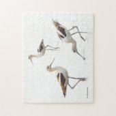 Puzzle Beau Avocats américains sur la plage (Vertical)