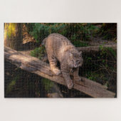 Puzzle Beau Bobcat Challenging Wildlife Loover (Horizontal)
