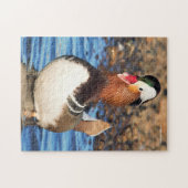 Puzzle Beau canard Chatty Mandarin sur le rivage (Horizontal)