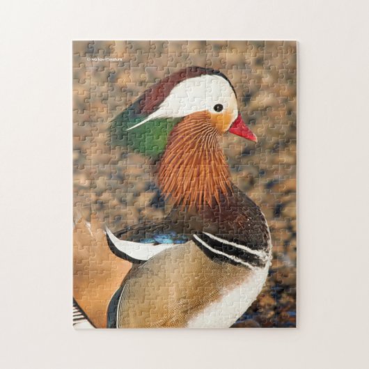 Puzzle Beau canard Mandarin sur les rochers (Vertical)