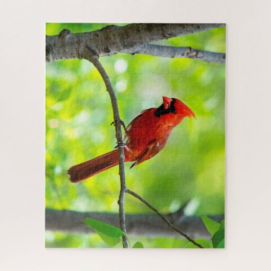 Puzzle Beau cardinal rouge vif dans un arbre (Vertical)