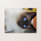 Puzzle Beau chat chaton siamois Kitten (Horizontal)
