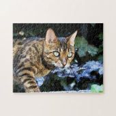 Puzzle Beau chat du Bengale (Horizontal)
