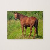 Puzzle Beau Cheval (Horizontal)