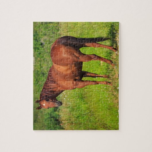 Puzzle Beau Cheval (Vertical)
