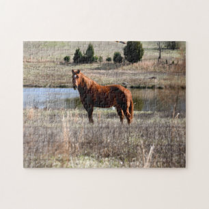Puzzle beau cheval