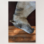 Puzzle Beau Cheval Blanc (Vertical)