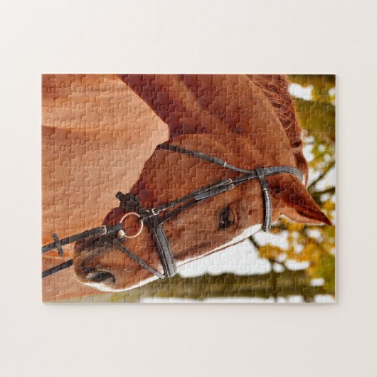 Puzzle Beau cheval Brown (Horizontal)