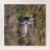 Puzzle Beau cheval gris (Horizontal)