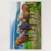 Puzzle Beau cheval islandais Animaux Nature (Vertical)