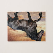 Puzzle Beau Cheval Noir (Horizontal)